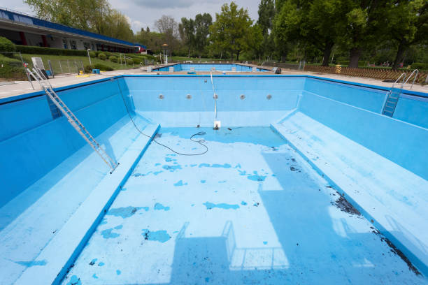Best Basement water damage restoration  in Bronson, FL
