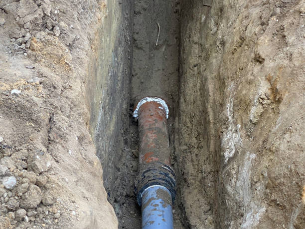 Best Sewage cleanup and water damage restoration  in Bronson, FL