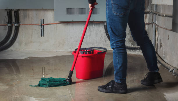 Best 24-hour water damage restoration  in Bronson, FL