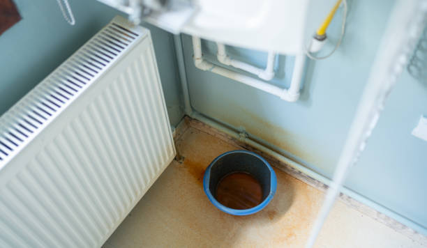 Best Water damage restoration near me  in Bronson, FL