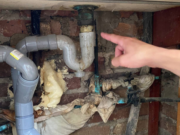 Best Water damage restoration near me  in Bronson, FL