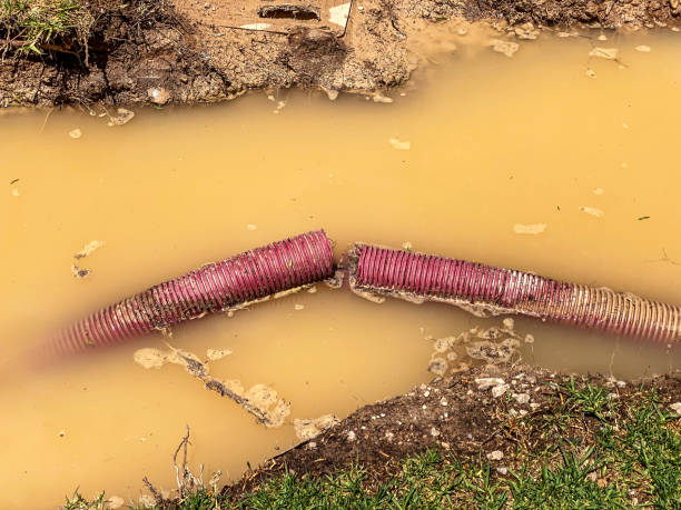  Bronson, FL Water damage restoration Pros