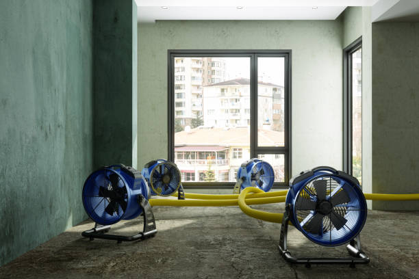 Best Water damage restoration experts  in Bronson, FL