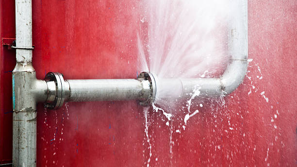 Best Commercial water damage restoration  in Bronson, FL